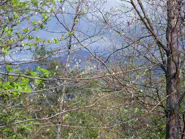 0 Long Mountain Road Pickens, SC 29671 - Photo 2 of 7