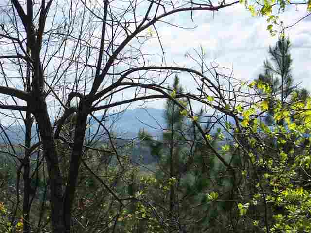 0 Long Mountain Road Pickens, SC 29671 - Photo 3 of 7