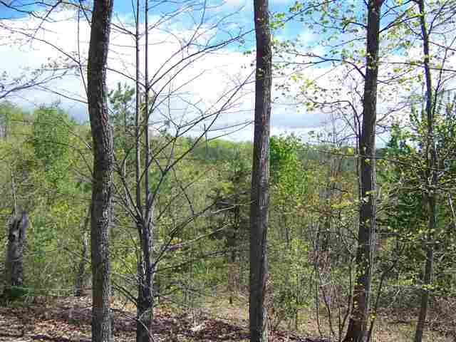 0 Long Mountain Road Pickens, SC 29671 - Photo 4 of 7