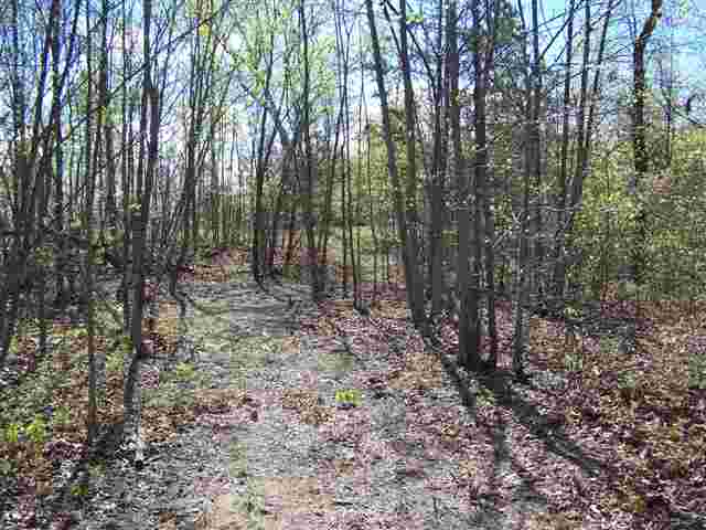 0 Long Mountain Road Pickens, SC 29671 - Photo 6 of 7