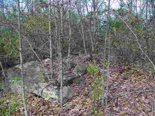 0 Long Mountain Road Pickens, SC 29671 - Photo 7 of 7