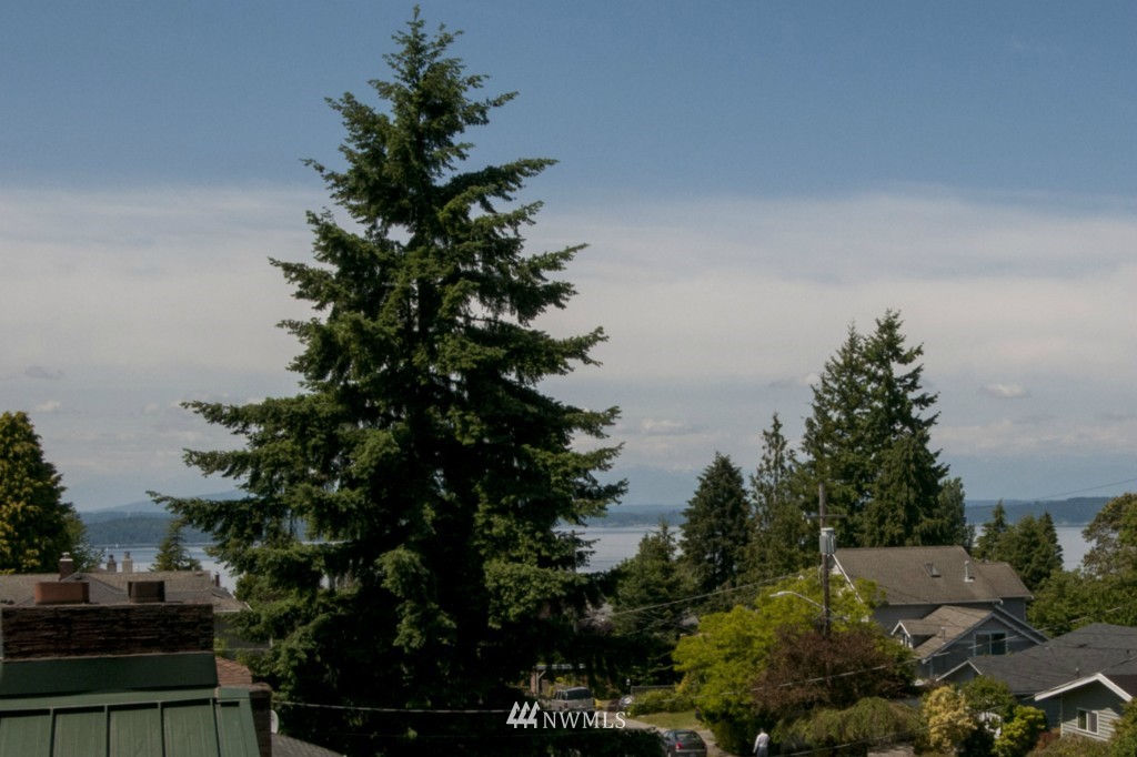 3937 Southwest Austin Street Seattle, WA 98136 - Photo 22 of 24 Gallery Image 22