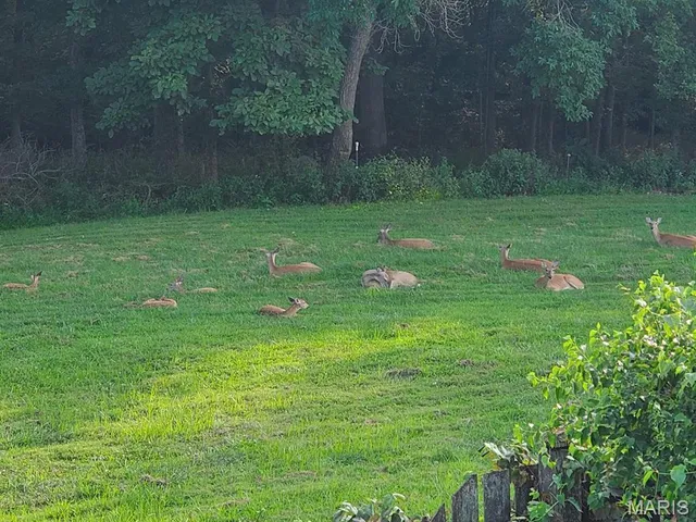 $790,000 | 42 Windam Pl Drive, St. Charles, MO 63304