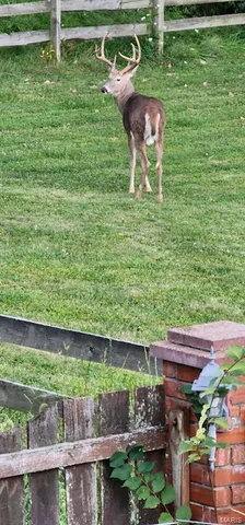 $790,000 | 42 Windam Pl Drive, St. Charles, MO 63304