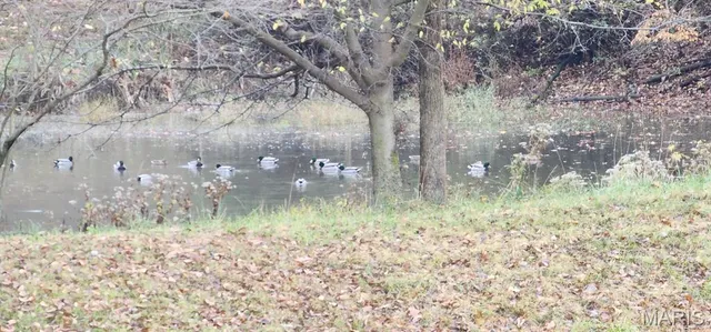 $790,000 | 42 Windam Pl Drive, St. Charles, MO 63304