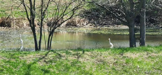 $790,000 | 42 Windam Pl Drive, St. Charles, MO 63304