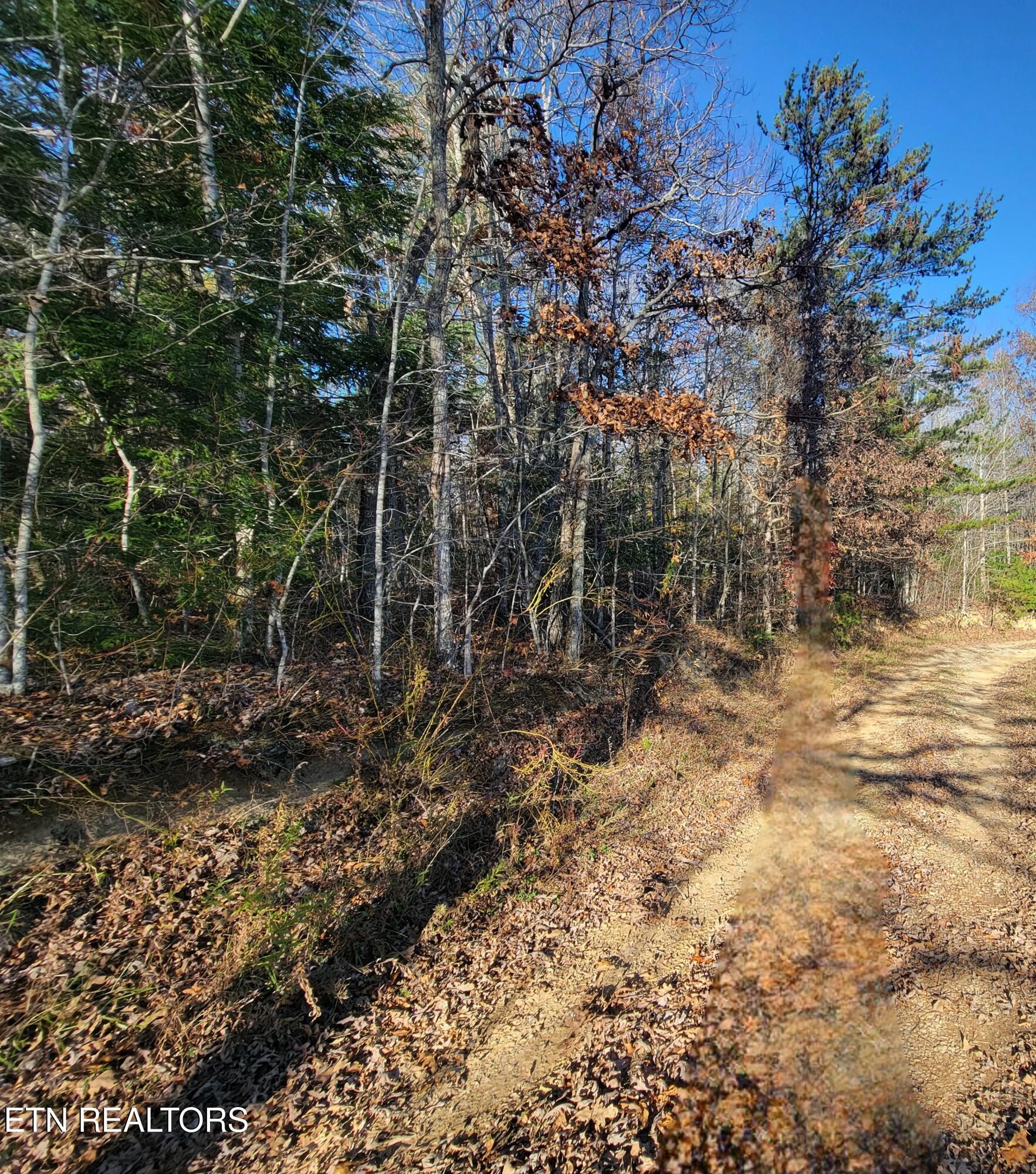 0 Kidd Mill Road Oneida, TN 37841 - Photo 3 of 24 Gallery Image 3