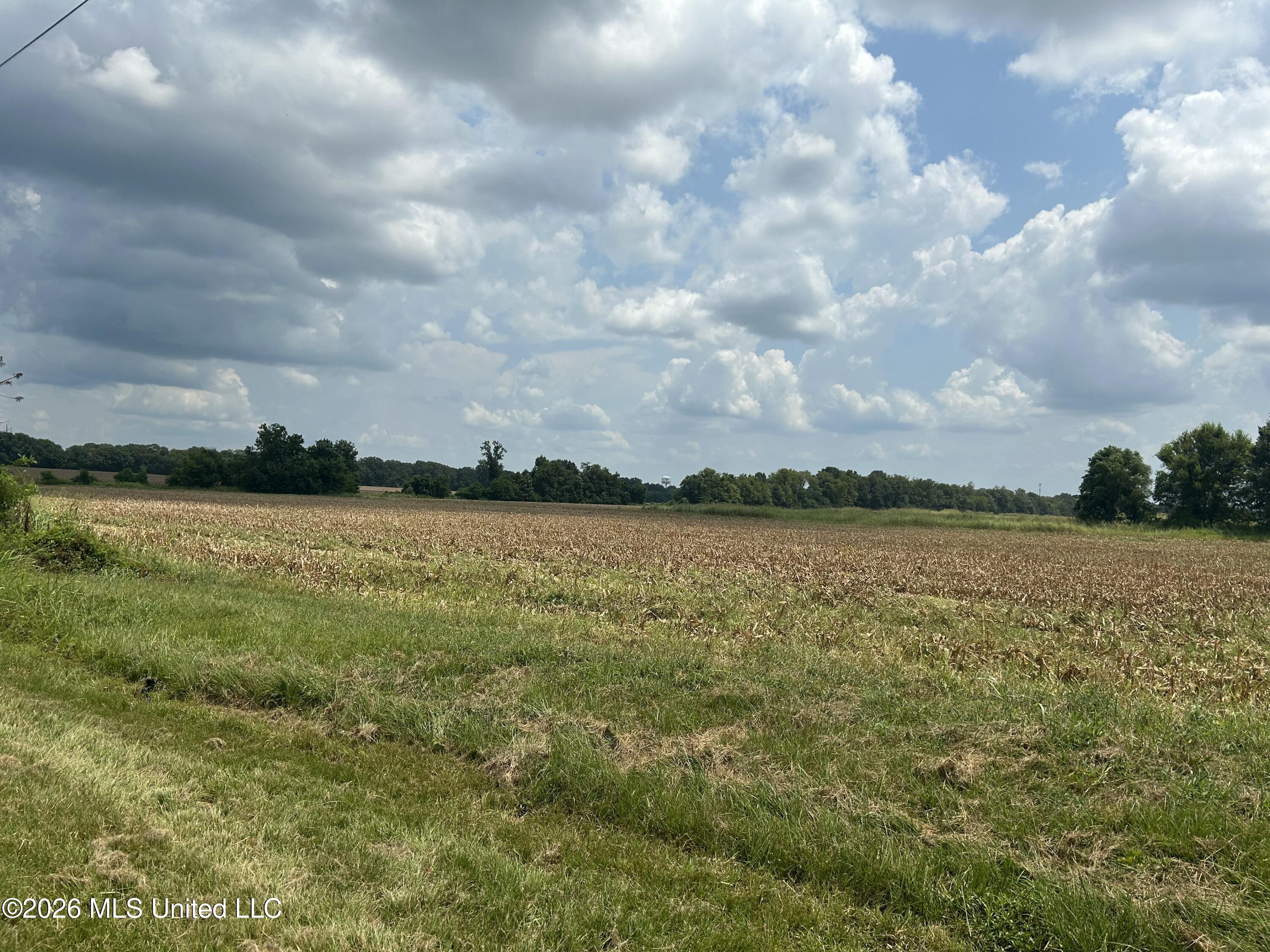 Finney Road Canton, MS 39046 - Photo 8 of 10 IMG_4632-preview