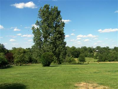 112 Pacer Road Wilmore, KY 40390 - Photo 11 of 77 Photo 11