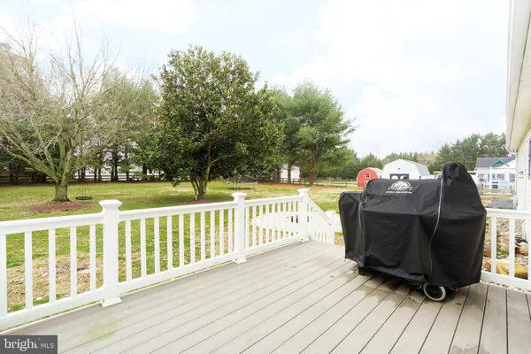a view of a backyard with large trees