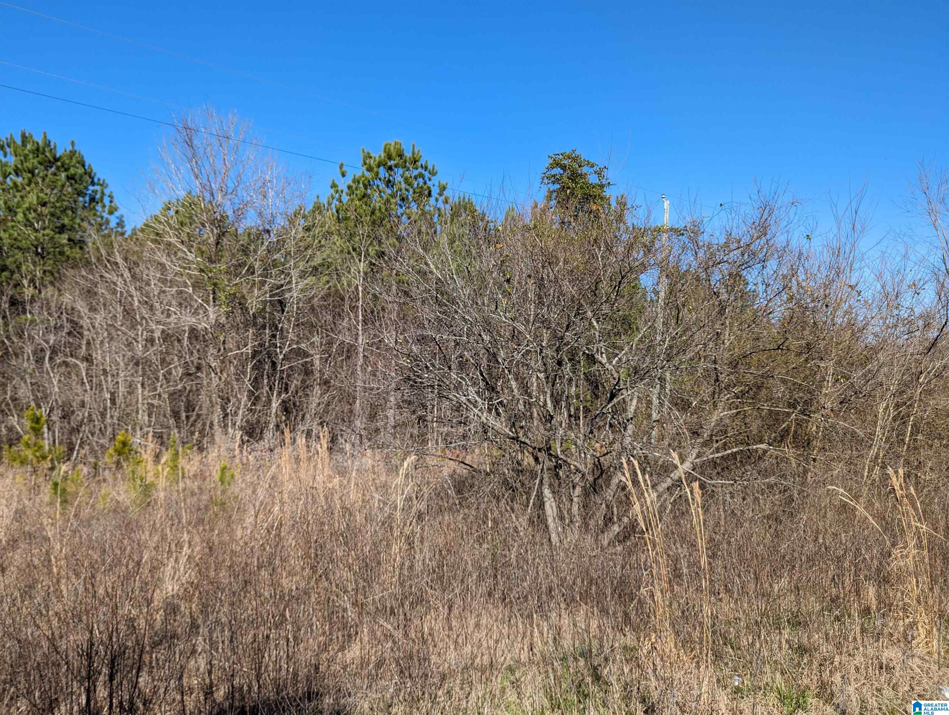0 Chandler Springs Road Talladega, AL 35160 - Photo 22 of 35