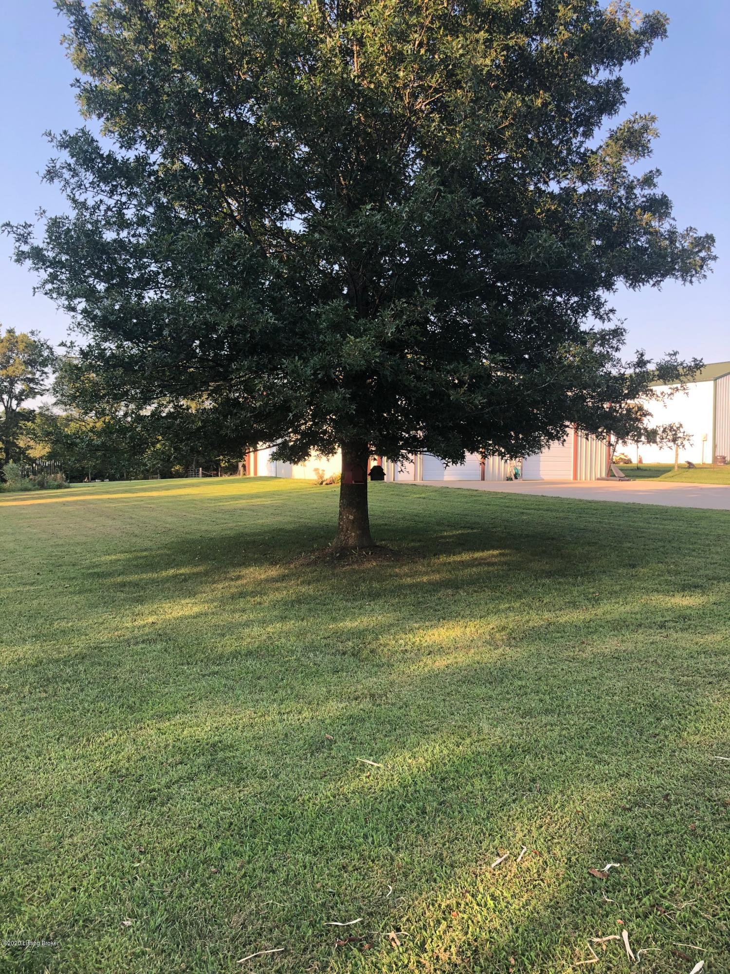 740 Samuels Road Coxs Creek, KY 40013 - Photo 23 of 25 Mature Trees