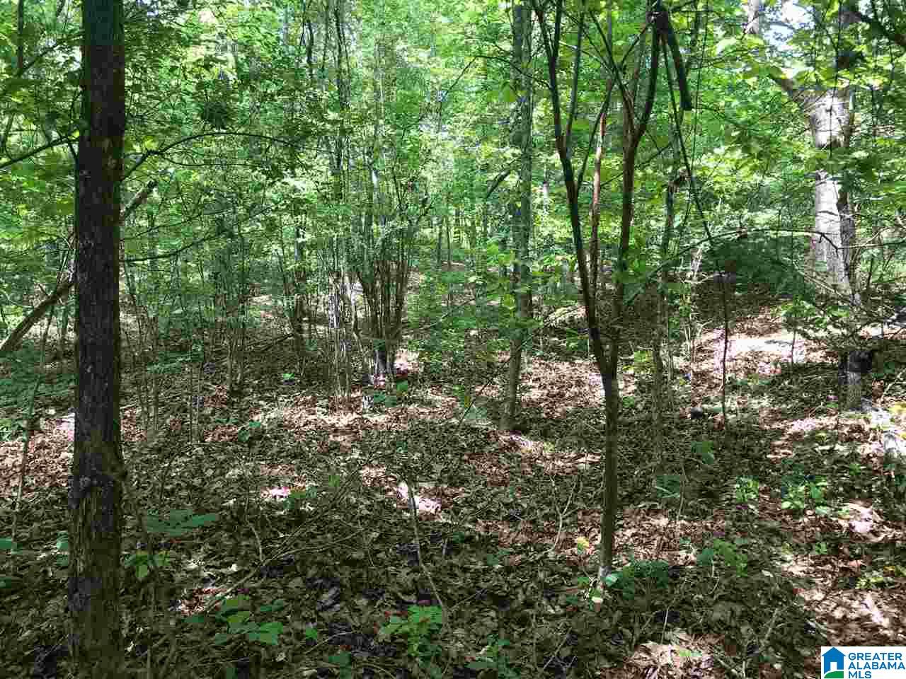 Firehouse Road, Unit 21 Goodwater, AL 35072 - Photo 18 of 21