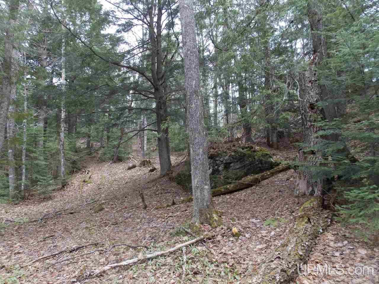 Tbd Tbd Off Hakkinen Road Lanse, MI 49946 - Photo 5 of 9
