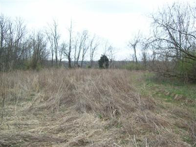 1 Aarons Run Road Mount Sterling, KY 40353 - Photo 4 of 9 Photo 4
