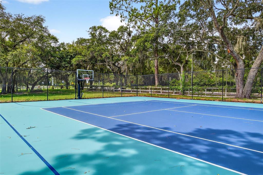 12936 Broleman Road Orlando, FL 32832 - Photo 69 of 82