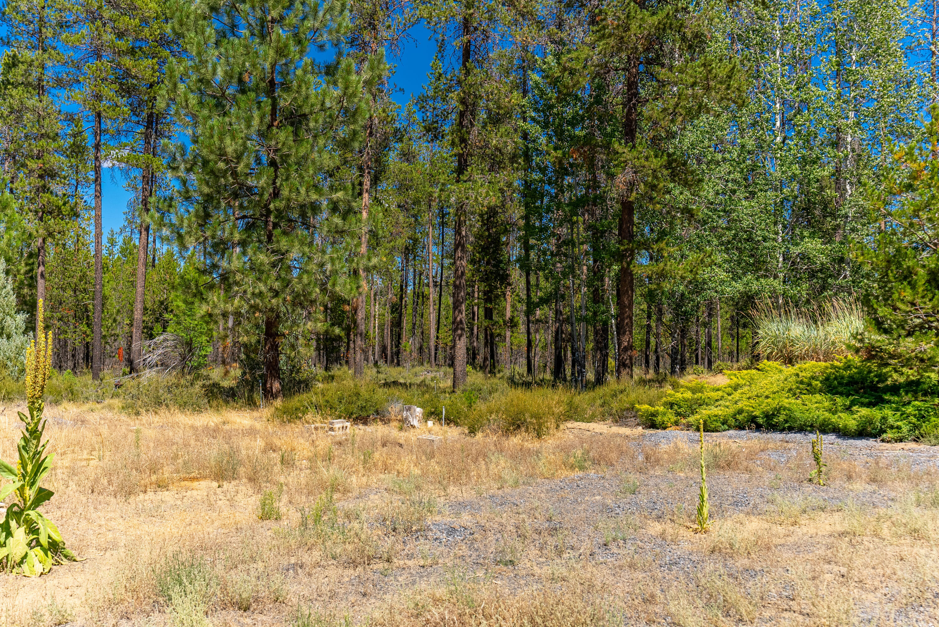 55236 Homestead Way Bend, OR 97707 - Photo 5 of 17 5.0