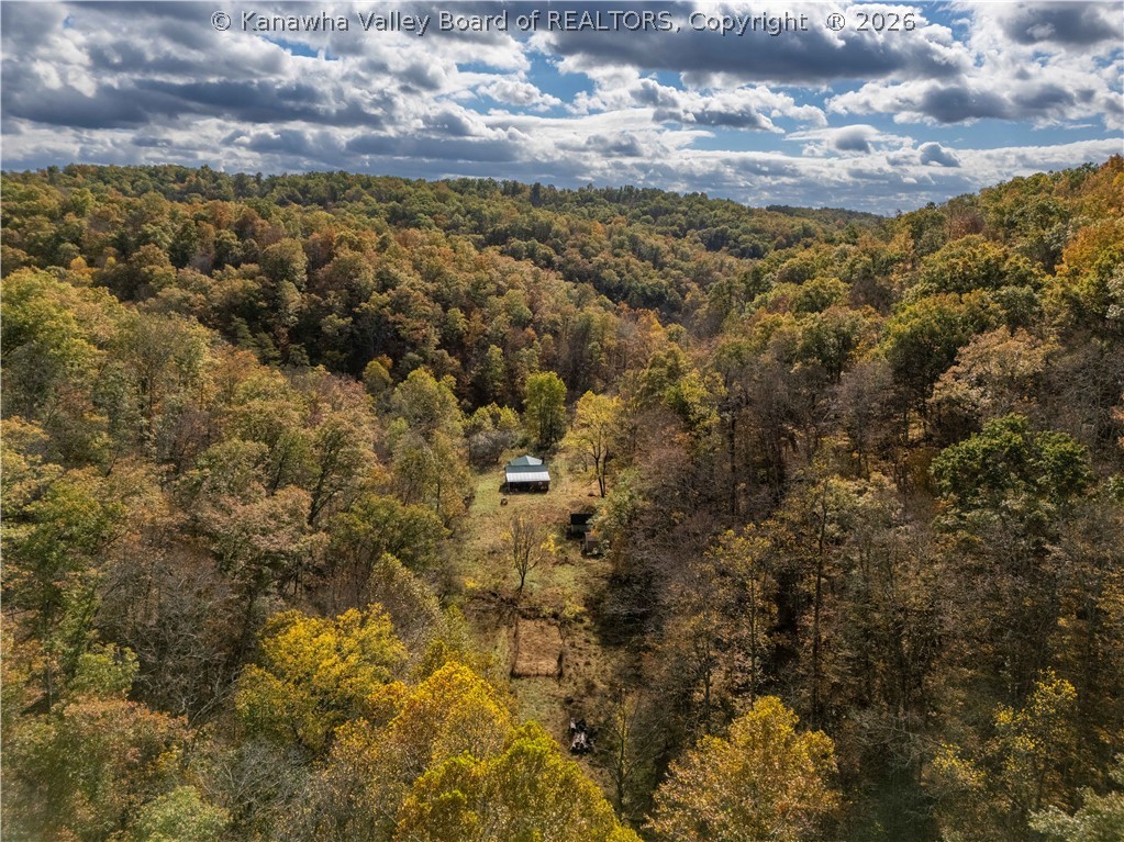 607 Gates Line Road Leon, WV 25123 - Photo 7 of 12 Gallery Image 7