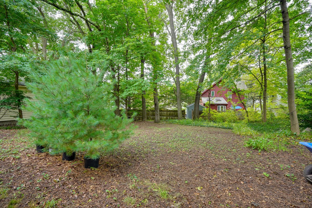 25 Ottawa Road Arlington, MA 02476 - Photo 22 of 24 Gallery Image 22