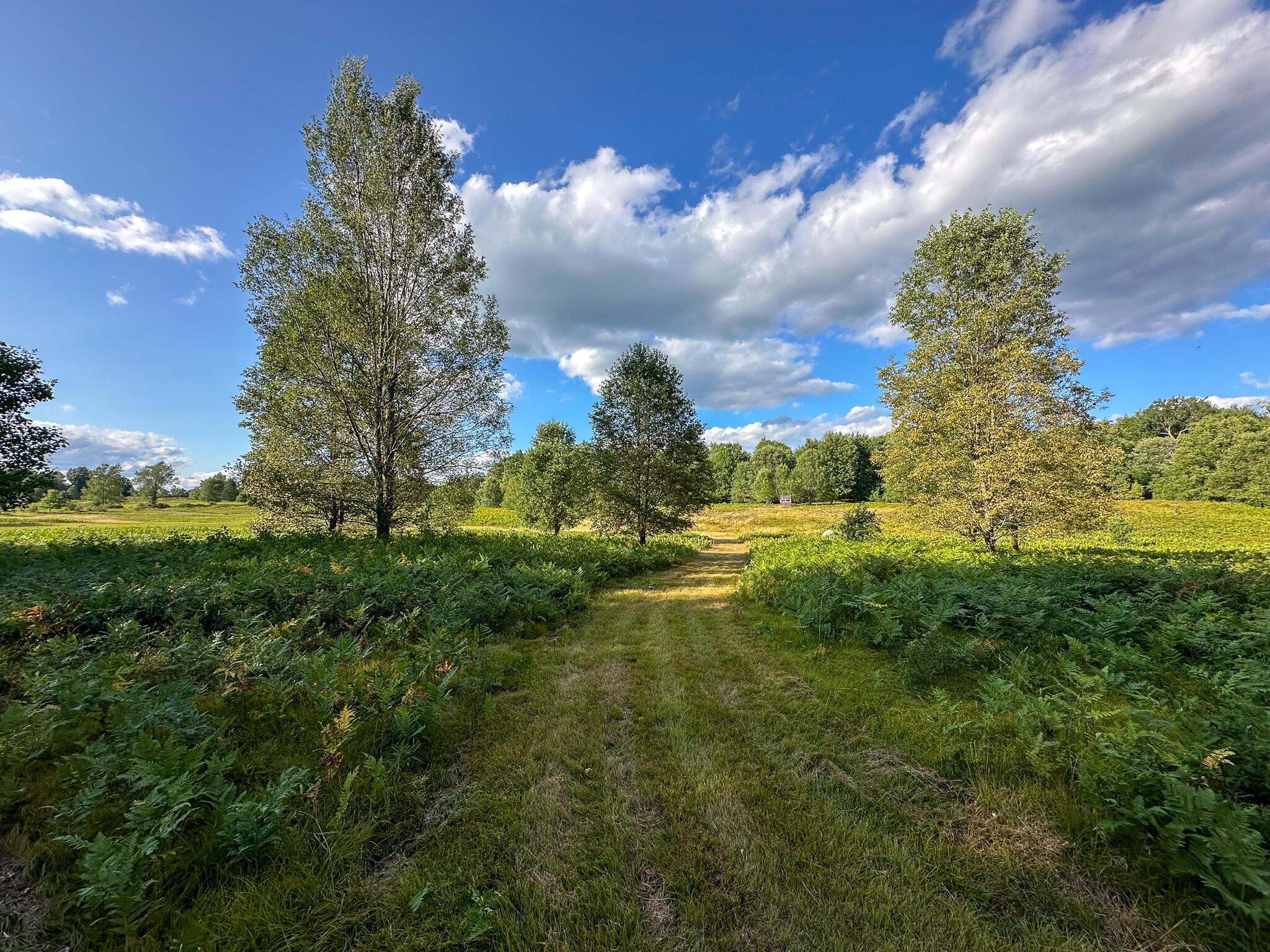 17219 7 Mile Road Reed City, MI 49677 - Photo 2 of 68 S Blind Far