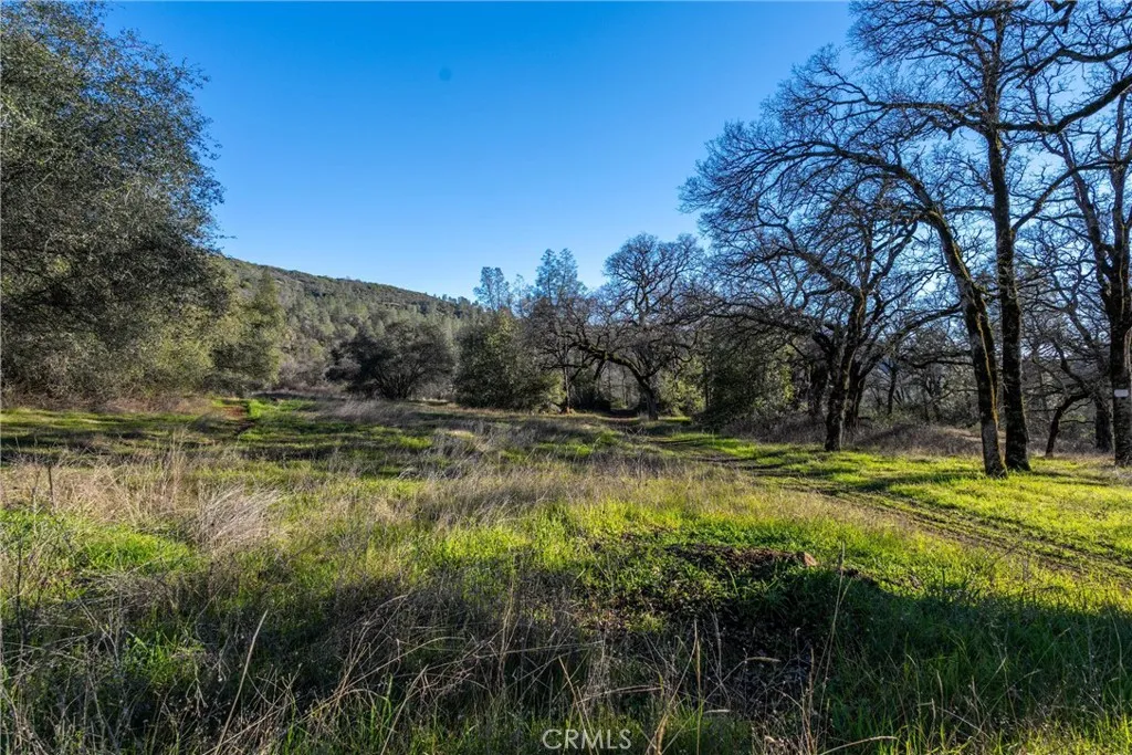 0 Crown Point Road Magalia, CA 95954 - Photo 8 of 39 Gallery Image 8