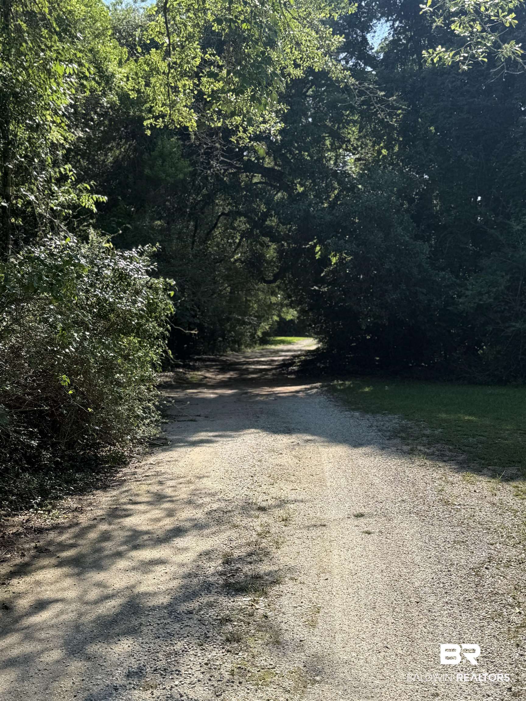 13259 Woodhaven Dairy Road West Silverhill, AL 36576 - Photo 1 of 3 View of street with a wooded view