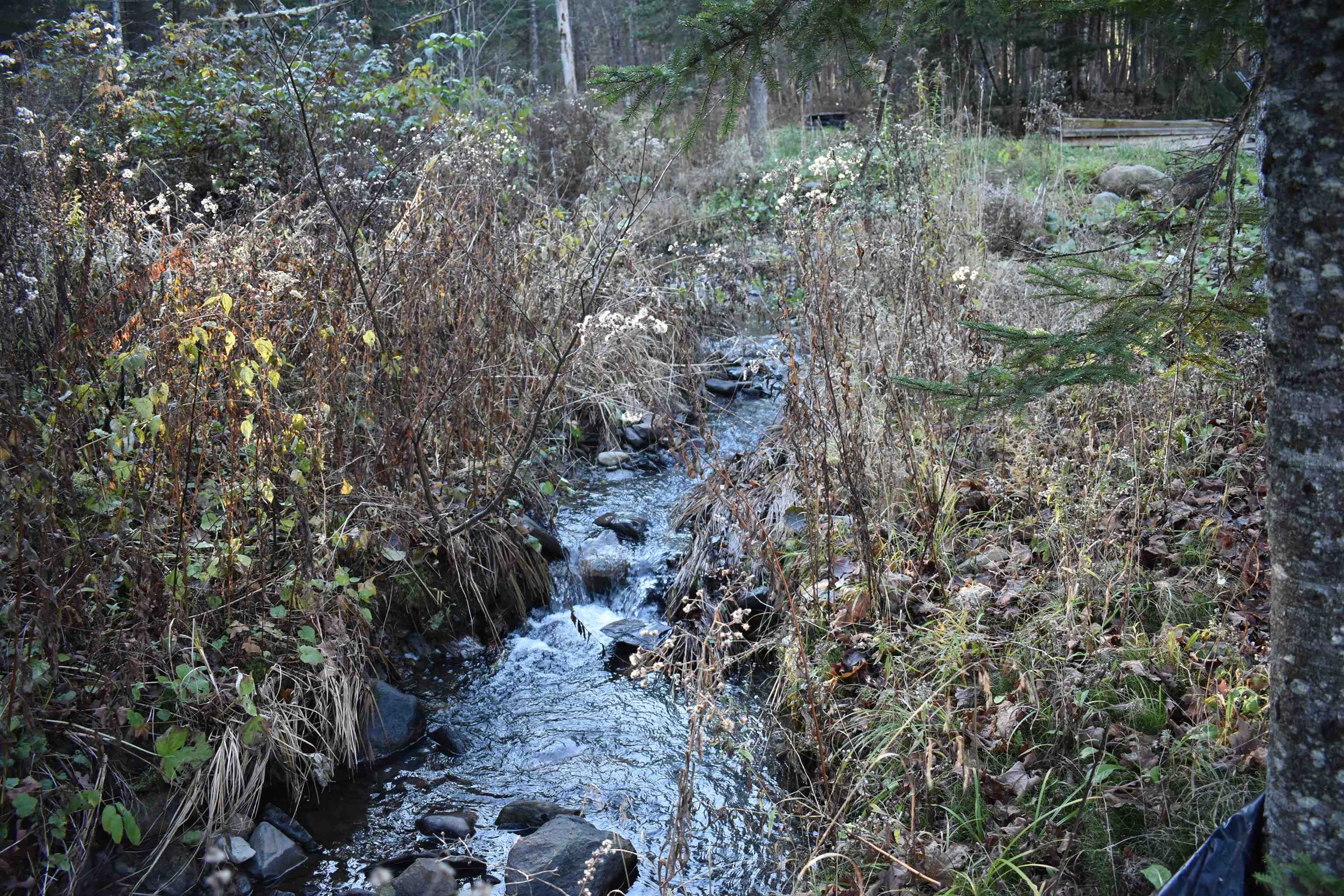551 Town Line Road Craftsbury, VT 05827 - Photo 13 of 22