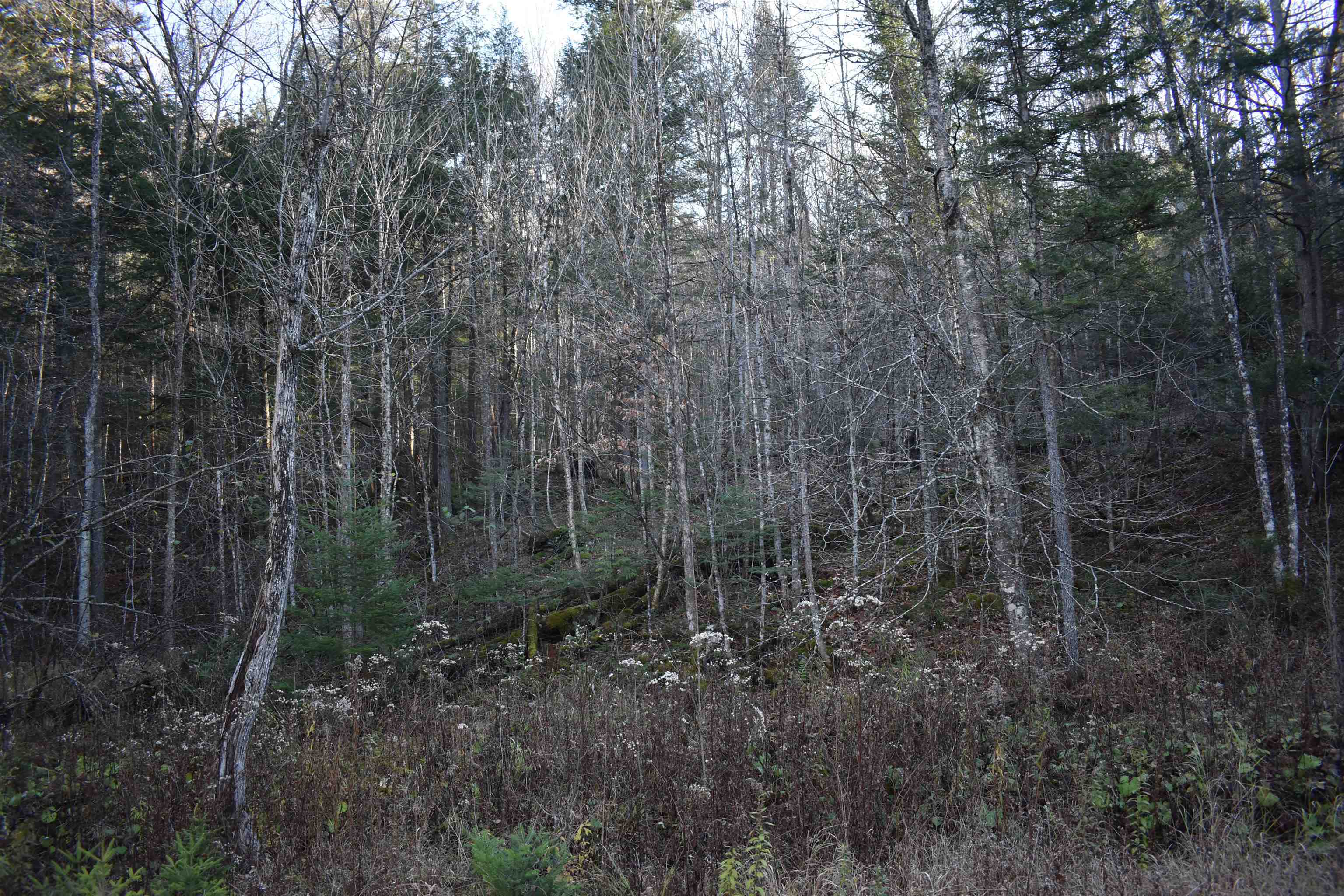 551 Town Line Road Craftsbury, VT 05827 - Photo 14 of 22