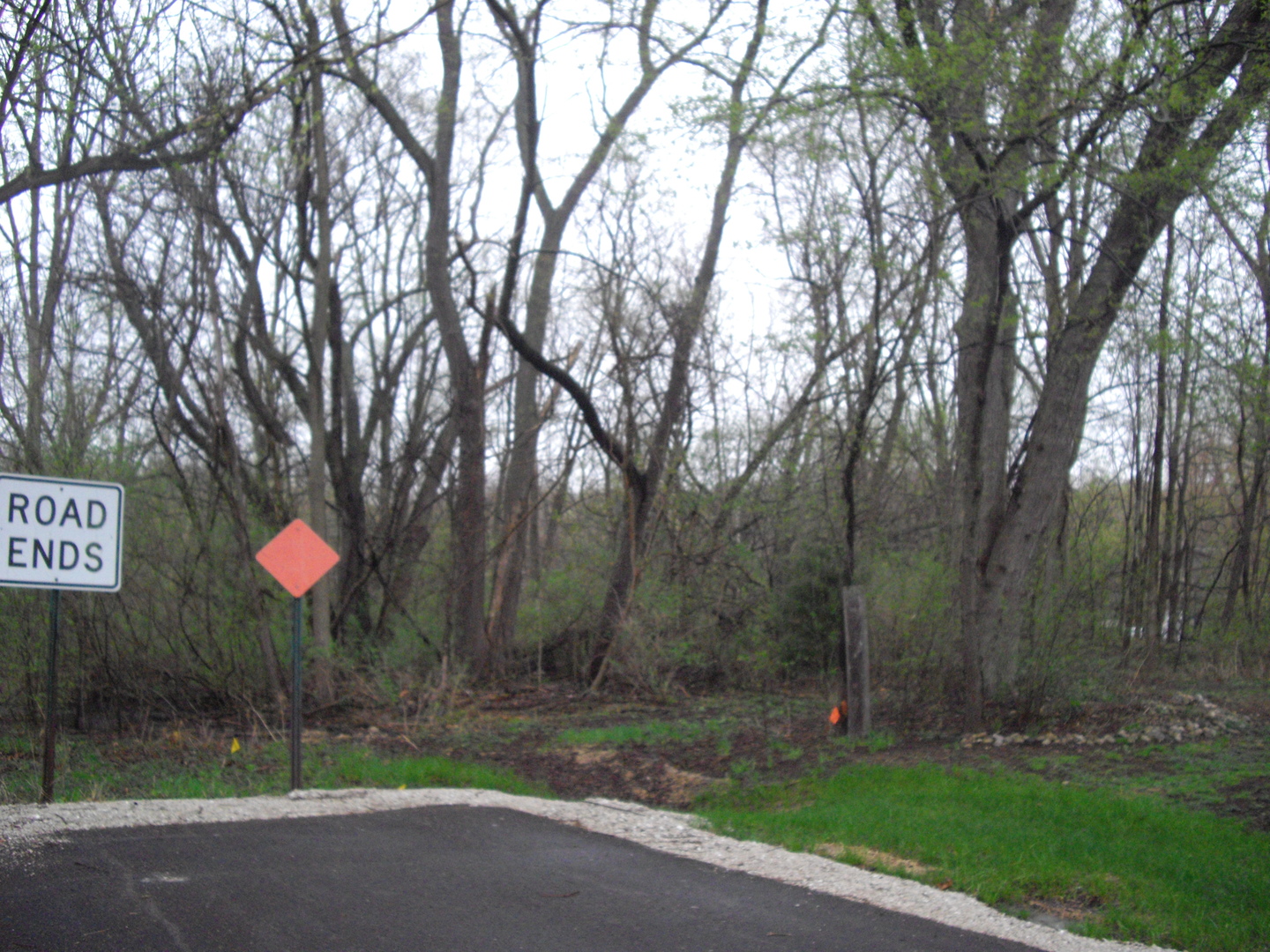 38196 North Harold Place Spring Grove, IL 60081 - Photo 2 of 5 Gallery Image 2