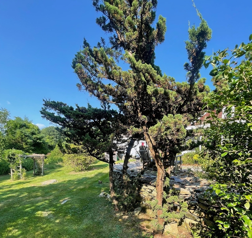 86 Fowler Street Upton, MA 01568 - Photo 34 of 42 a view of a tree in a yard with a tree