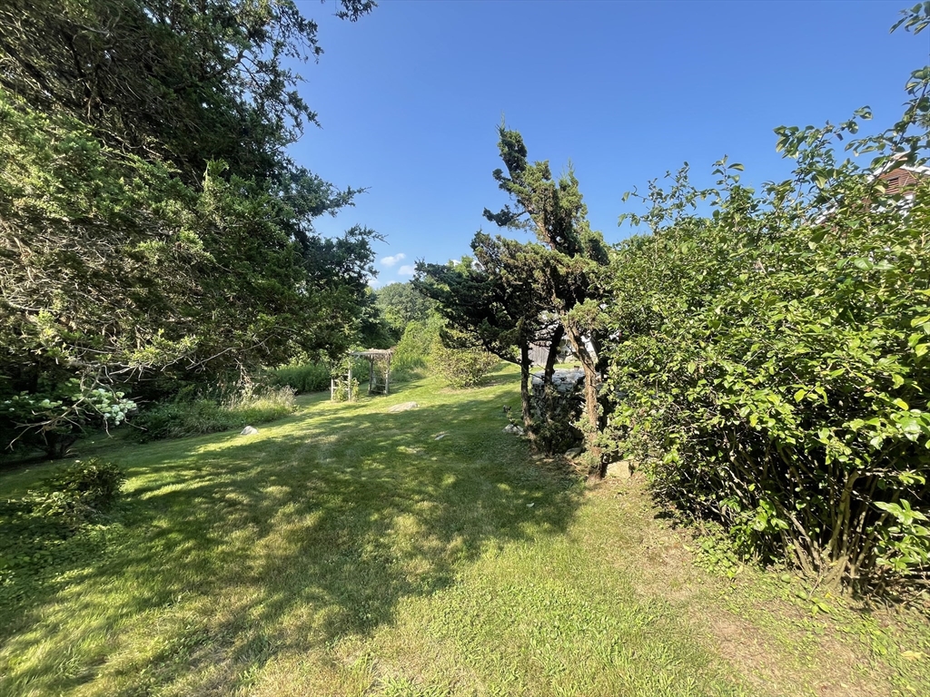 86 Fowler Street Upton, MA 01568 - Photo 35 of 42 a view of a yard with a tree