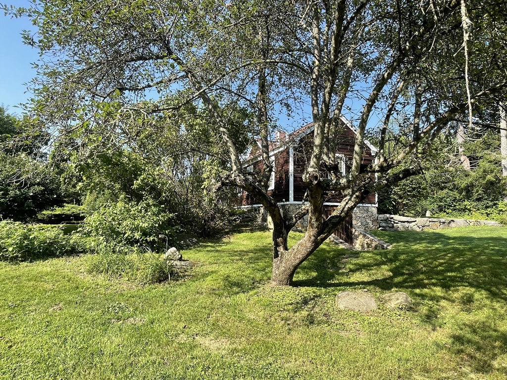 86 Fowler Street Upton, MA 01568 - Photo 38 of 42 a view of a backyard