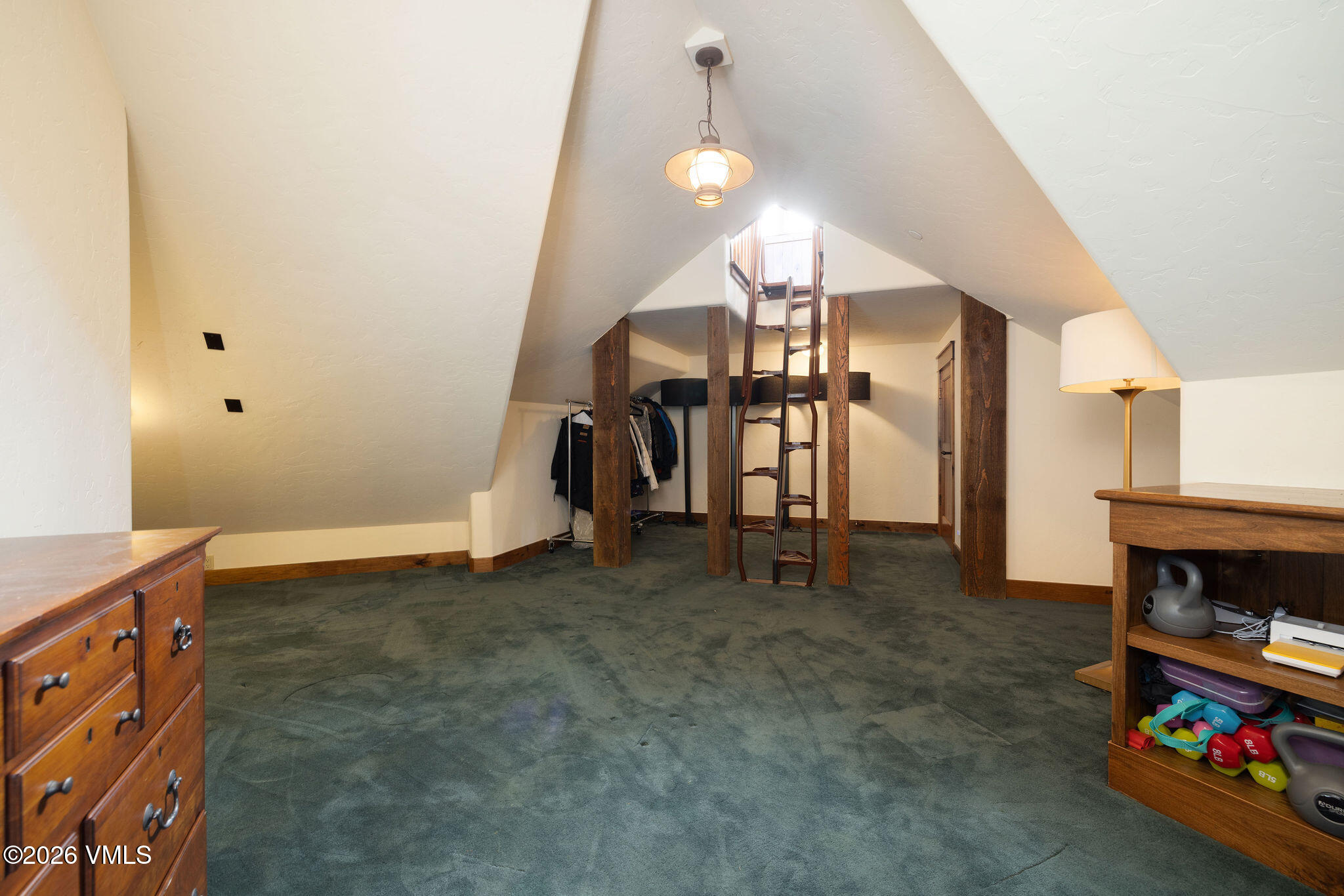 1187 Gore Trail Edwards, CO 81632 - Photo 24 of 40 2601_1187_gore_tr_interior_storage_a