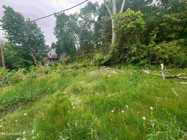 a view of yard with green space