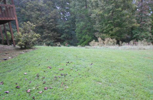1320 Fielden Store Road New Market, TN 37820 - Photo 2 of 14 yard