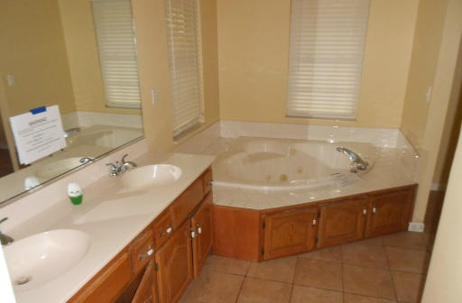 1320 Fielden Store Road New Market, TN 37820 - Photo 8 of 14 Master Bath