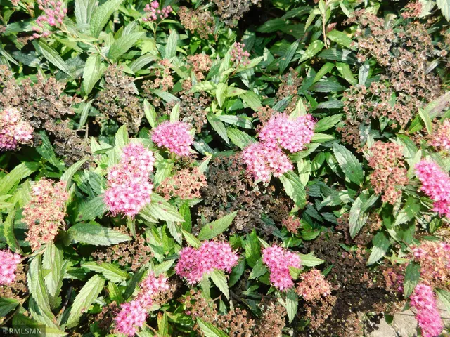 $899,000 | 40559 321st Lane, Aitkin, MN 56431