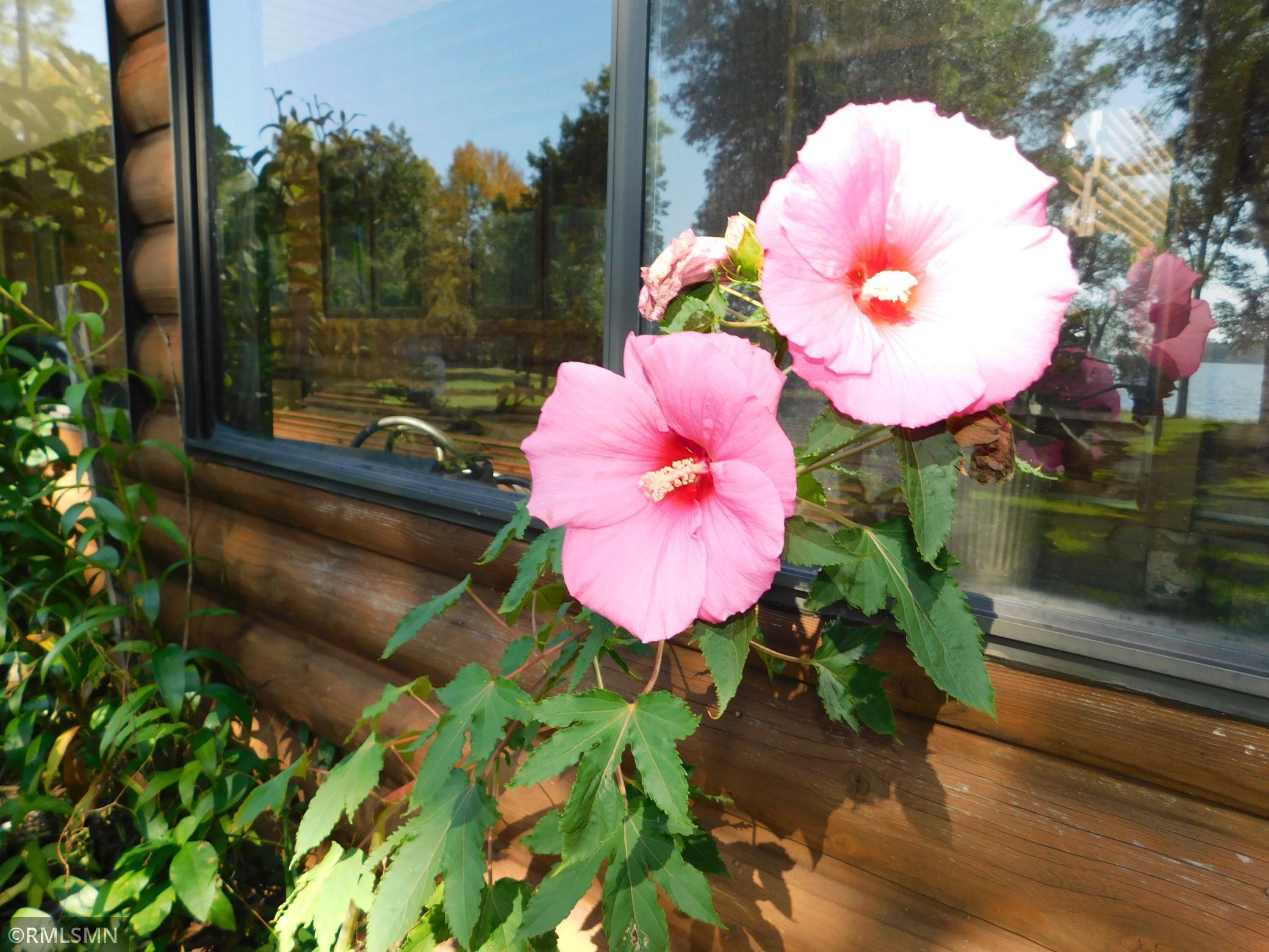 40559 321st Lane Aitkin, MN 56431 - Photo 81 of 105