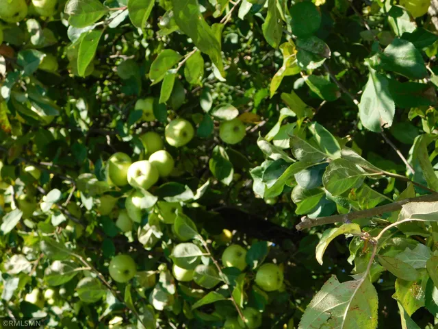 $899,000 | 40559 321st Lane, Aitkin, MN 56431