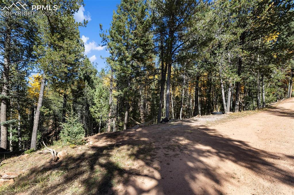 679 Calcite Drive Divide, CO 80814 - Photo 5 of 35