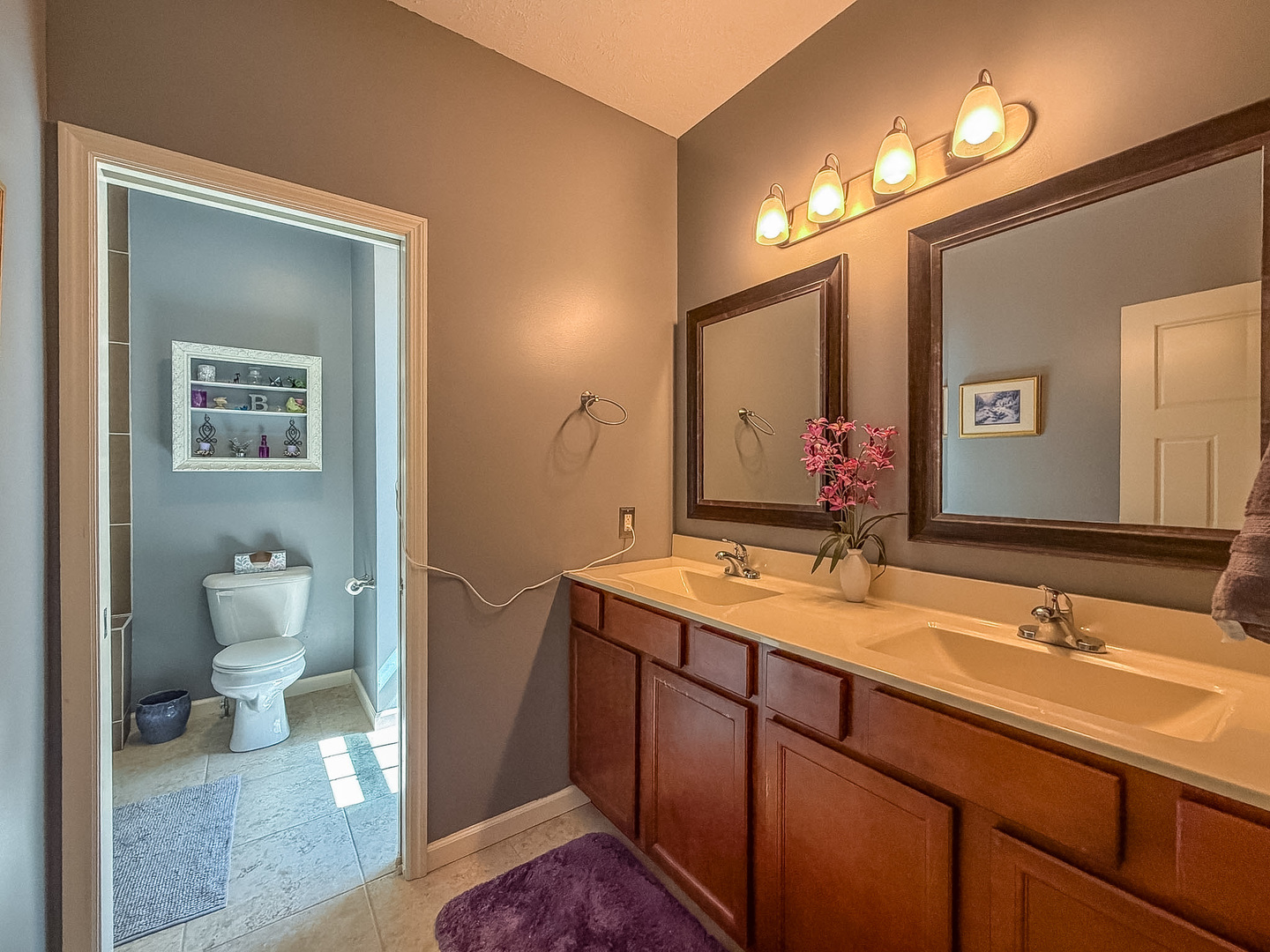 3907 Boulder Ridge Drive Champaign, IL 61822 - Photo 18 of 53