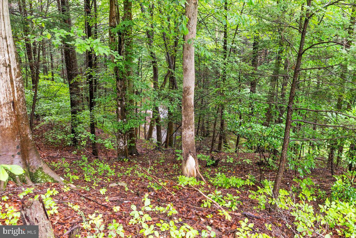 11660 Kahns Road Manassas, VA 20112 - Photo 62 of 80 Gallery Image 62