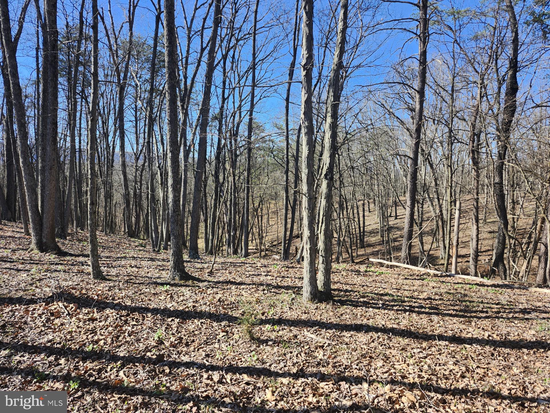 A J Kelley Road Old Fields, WV 26845 - Photo 51 of 65