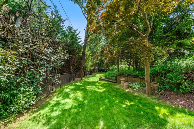 a view of yard with green space