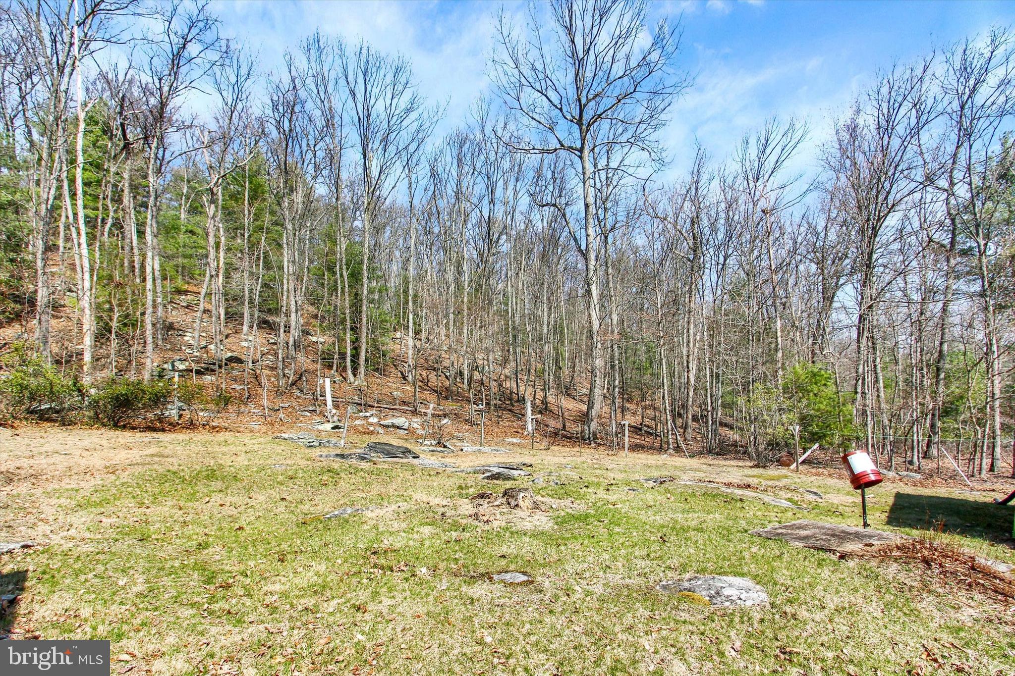 50 Boyds Schoolhouse Road Biglerville, PA 17307 - Photo 17 of 26 a view of a yard with trees