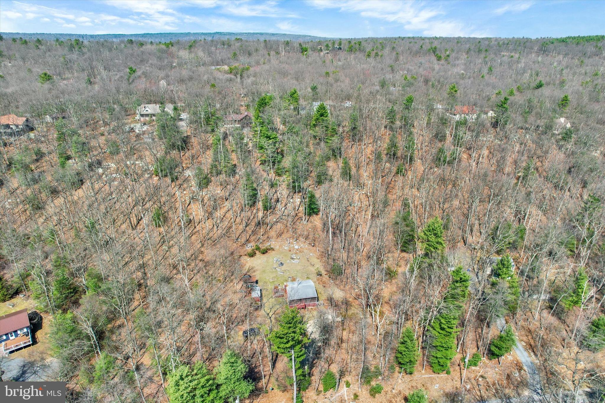 50 Boyds Schoolhouse Road Biglerville, PA 17307 - Photo 26 of 26 a view of a dry yard with trees