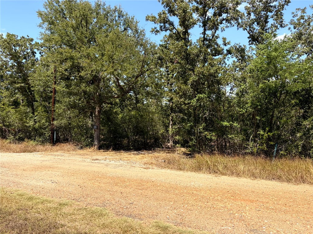 501 Redberry Road Somerville, TX 77879 - Photo 3 of 6 Gallery Image 3