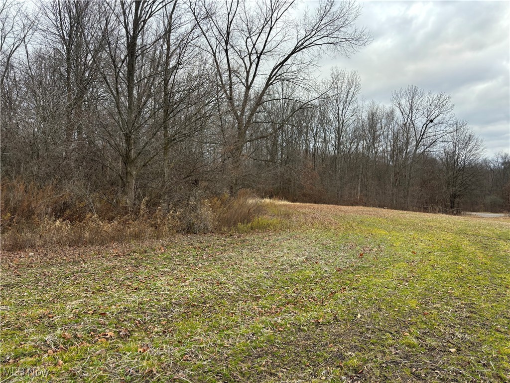 225 St Route Ravenna, OH 44266 - Photo 2 of 6