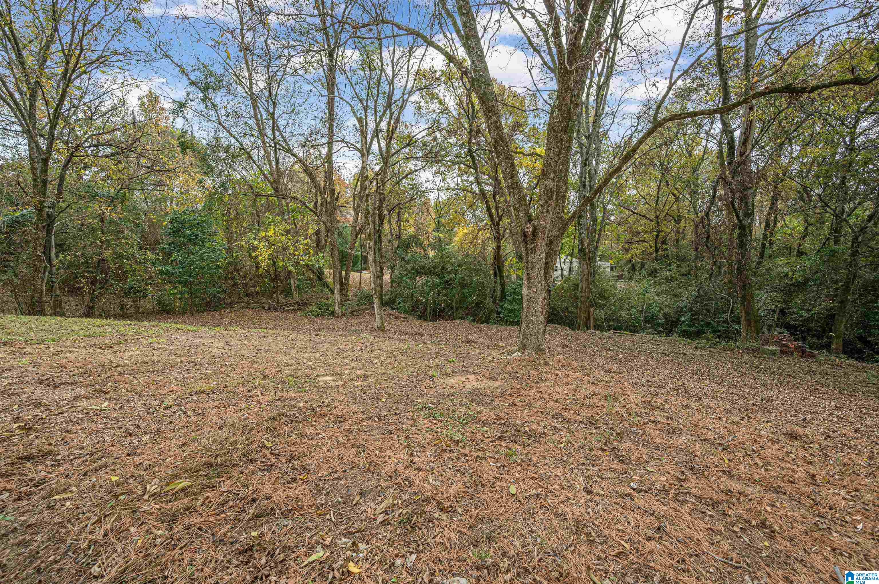 321 10th Street Pleasant Grove, AL 35127 - Photo 54 of 56