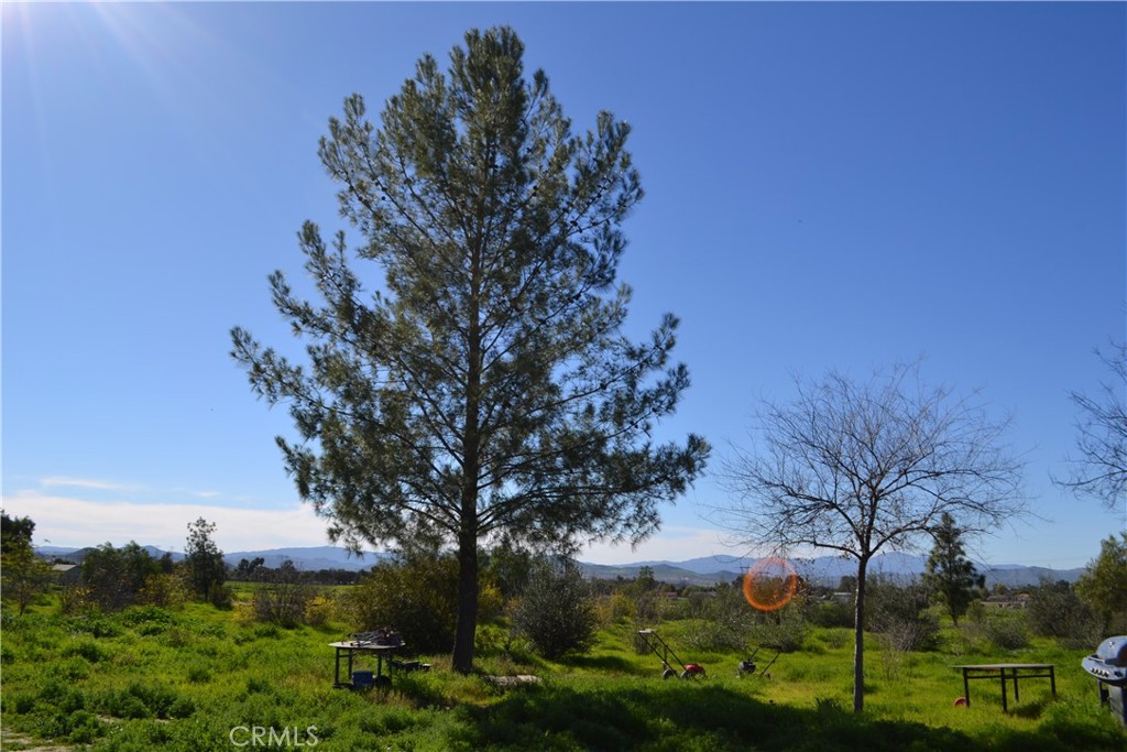 29580 Patelli Way Menifee, CA 92585 - Photo 11 of 38 a view of a garden with a tree